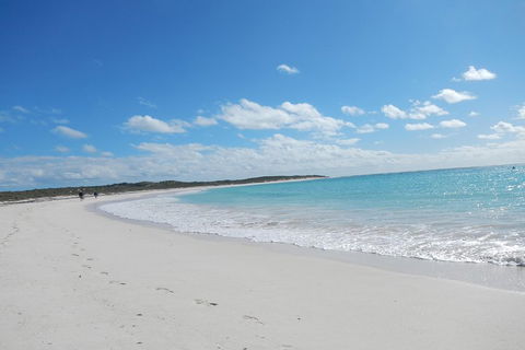 Shipwreck Special Nature Tour/Half Day Tour - Accommodation Search 0