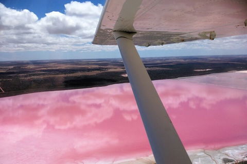 70-minute Pink Lake Scenic Flight - Accommodation Search 0
