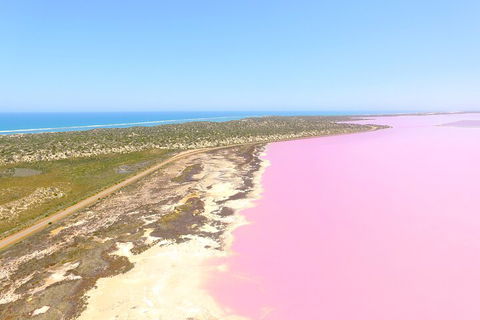 70-minute Pink Lake Scenic Flight - Accommodation Search 5