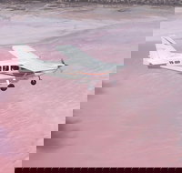 Pink Lake  Abrolhos Islands Nature Tour - Accommodation Search