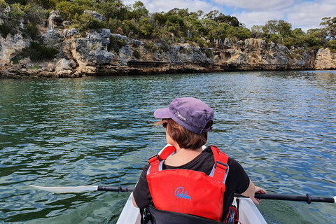 Cliffs And Caves Kayak Tour In Swan River - Accommodation Search 0