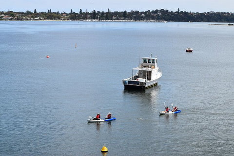 Cliffs And Caves Kayak Tour In Swan River - Accommodation Search 2