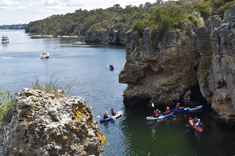 Cliffs And Caves Kayak Tour In Swan River - Accommodation Search 5