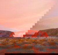 3-Day Alice Springs to Uluru Ayers Rock via Kings Canyon Tour - Accommodation Search