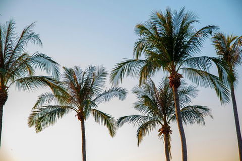 Darwin City Sightseeing Tour - Accommodation Search 0