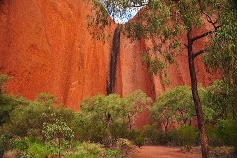 Uluru Sunrise And Guided Base Walk - Accommodation Search 3