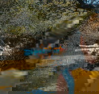 Kayak Tour in Adelaide Dolphin Sanctuary - Accommodation Search