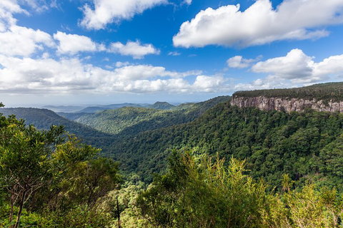 Natural Bridge & Springbrook Waterfalls Tour - Accommodation Search 1