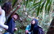 Natural Bridge & Springbrook Waterfalls Tour - thumb 4