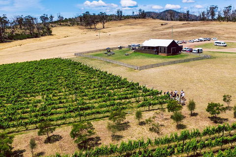 Tasmanian Wine Tour - Accommodation Search 3