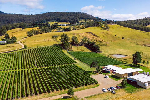 Tasmanian Wine Tour - Accommodation Search 4