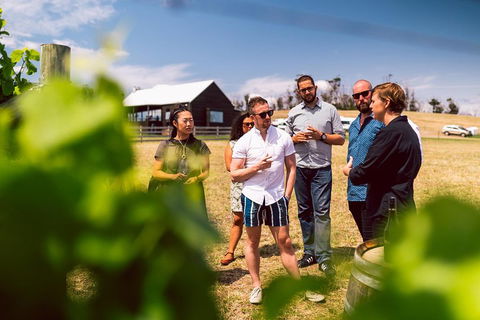 Tasmanian Wine Tour - Accommodation Search 5
