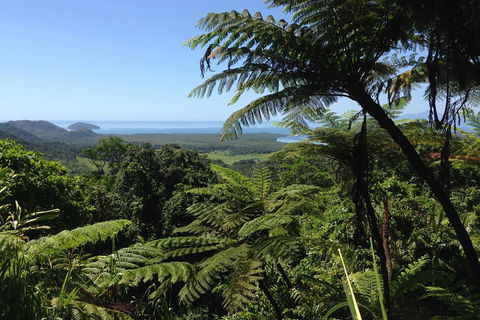 Daintree And Cape Tribulation Full Day Guided Tour - Accommodation Search 2