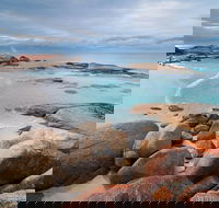 Wineglass Bay Private Charter Service - Accommodation Search