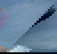 Turandot at the Sydney Opera House - Accommodation Search