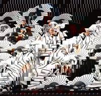 Madama Butterfly at the Sydney Opera House - Accommodation Search