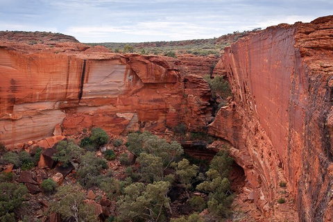 Uluru, Kata Tjuta And Kings Canyon Camping Safari From Ayers Rock - Accommodation Search 1