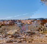 The Amazing Kings Canyon 4-Hours Walking Tour and Hike - Accommodation Search