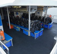 Silverswift Outer Great Barrier Reef Dive and Snorkel Cruise from Cairns - Accommodation Search