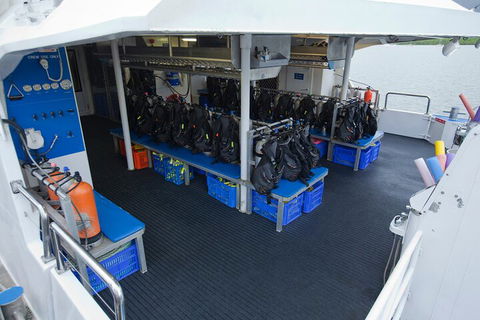 Silverswift Outer Great Barrier Reef Dive And Snorkel Cruise From Cairns - Accommodation Search 0