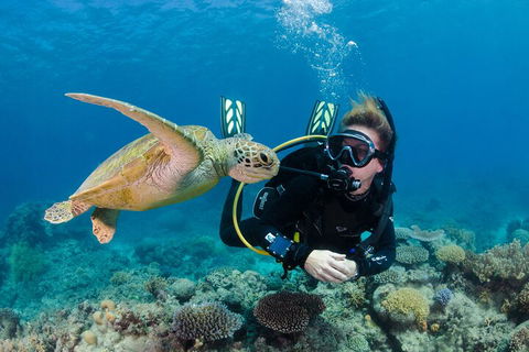 Silverswift Outer Great Barrier Reef Dive And Snorkel Cruise From Cairns - Accommodation Search 2