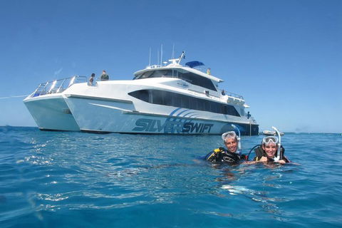 Silverswift Outer Great Barrier Reef Dive And Snorkel Cruise From Cairns - Accommodation Search 4