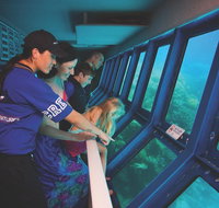 Great Barrier Reef Adventure from Cairns - Accommodation Search