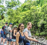 Cape Tribulation Mossman Gorge and Daintree Rainforest Day Trip from Cairns or Port Douglas - Accommodation Search