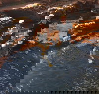 One Day Litchfield Park Adventures - Accommodation Search