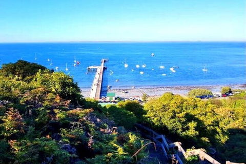 Mornington Peninsula Sightseeing Tour For 2-6 Guests. - Accommodation Search 1