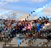 Sydney Bike Tours - Accommodation Search