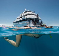3 Day Great Barrier Reef Daintree Rainforest and Outback Chillagoe Tour - Accommodation Search