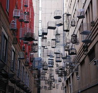 Sydney Book A Local Host - Accommodation Search