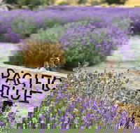 Kangaroo Island Food and Wine Trail Tour - Accommodation Search