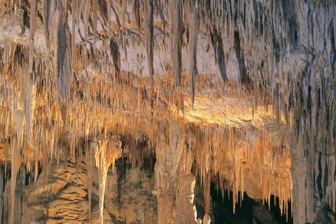Margaret River, Caves, Wine And Cape Leeuwin Lighthouse Tour From Perth - Accommodation Search 3