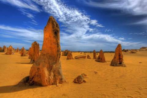 Pinnacles Desert & New Norcia Day Tour From Perth - Accommodation Search 0