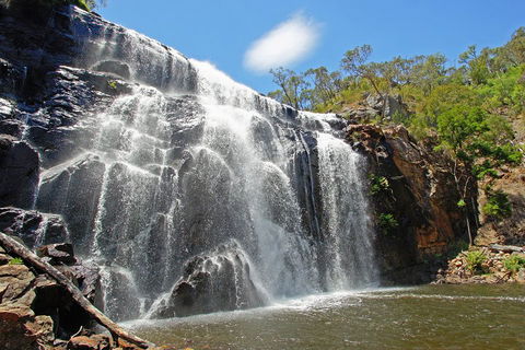 Grampians National Park Small-Group Eco Tour From Melbourne - Accommodation Search 0