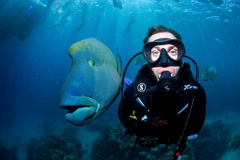 Full Day Reef Cruise Including 10 Minute Heli Scenic Flight: Get High Package - Accommodation Search 1