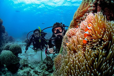 Full Day Reef Cruise Including 10 Minute Heli Scenic Flight: Get High Package - Accommodation Search 5