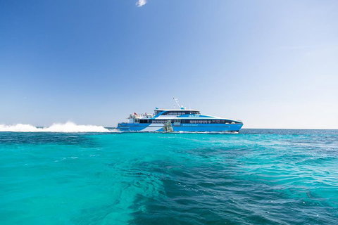 Fremantle To Rottnest Island Roundtrip Ferry Ticket - Accommodation Search 0