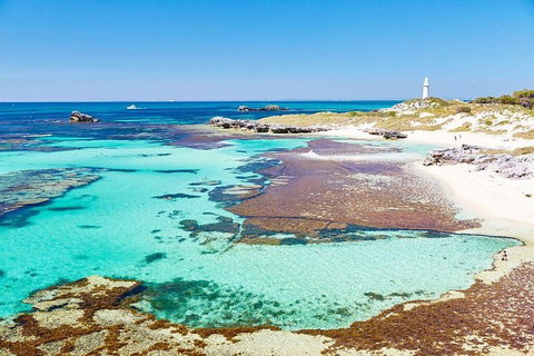 Fremantle To Rottnest Island Roundtrip Ferry Ticket - Accommodation Search 2