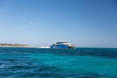 Fremantle To Rottnest Island Roundtrip Ferry Ticket - Accommodation Search 5