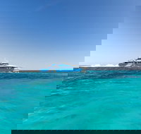 Rottnest Island Fortress Adventure Segway Package from Fremantle - Accommodation Search