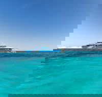 Rottnest Island Bayseeker Day Trip from Perth - Accommodation Search