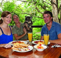 Breakfast with the Koalas at Hartley's Crocodile Park from Cairns or Palm Cove - Accommodation Search
