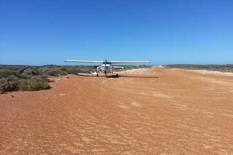 Abrolhos Islands Scenic Flight & Snorkel Adventure From Perth - Accommodation Search 3