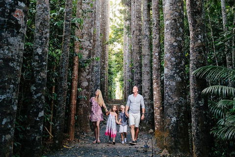 The Original Day Tour To Paronella Park, Lake Barrine And Millaa Millaa Falls - Accommodation Search 1