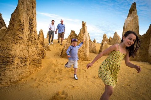 Full-Day Pinnacles Desert And Yanchep National Park Tour From Perth - Accommodation Search 0