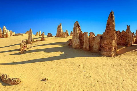 Full-Day Pinnacles Desert And Yanchep National Park Tour From Perth - Accommodation Search 2