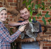 Private Tour Blue Mountains Day Trip from Sydney - Accommodation Search